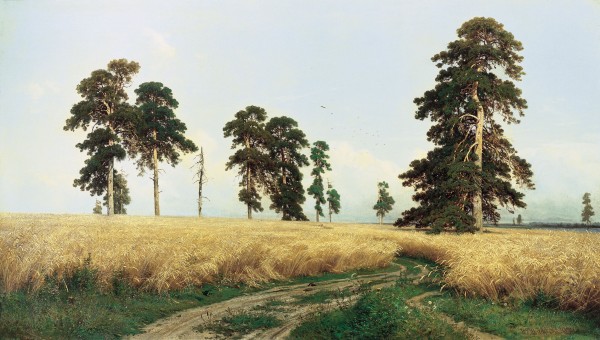Rye Fields by Ivan Shishkin